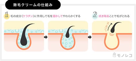 除毛クリーム 頻度|除毛クリームの効果・仕組みと効果的な頻度を紹介｜除毛クリー 